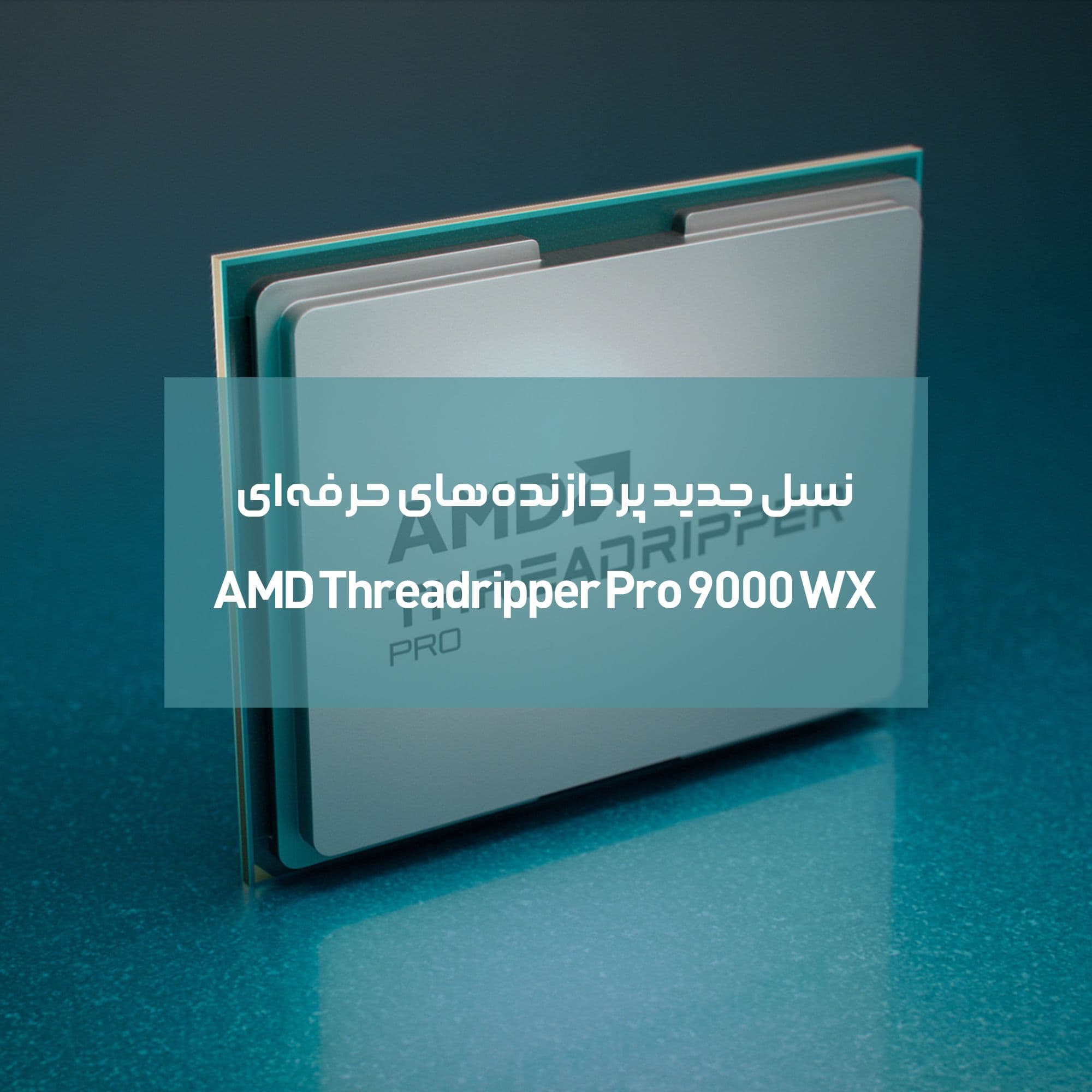 AMD.jpg