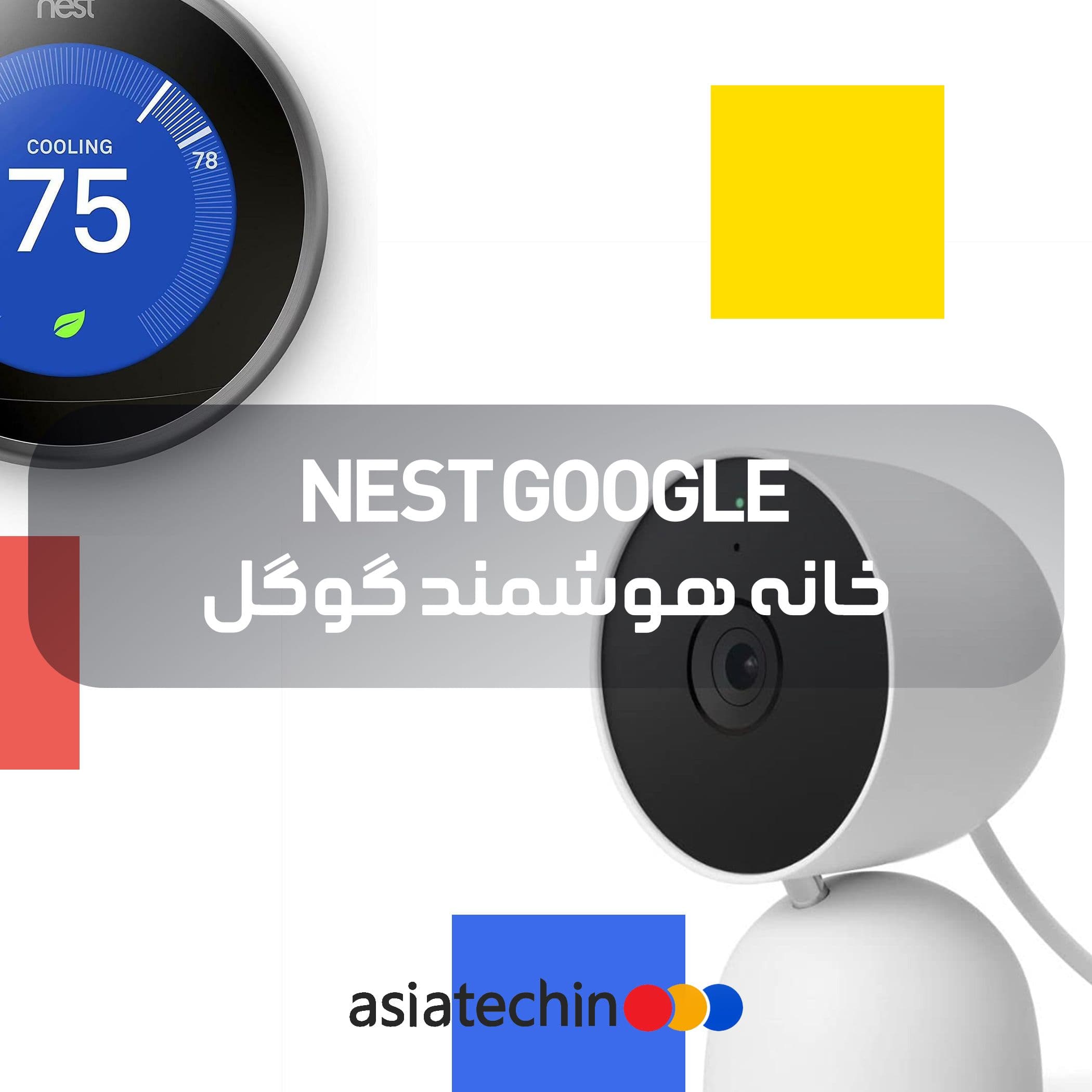nest.jpg